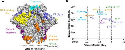 HIV Broadly Neutralizing Antibodies Expressed as IgG3 Preserve Neutralization Potency and Show Improved Fc Effector Function